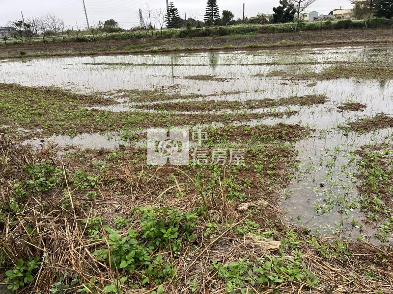 新屋三民路一段正旁農地+資材室房屋室內格局與周邊環境
