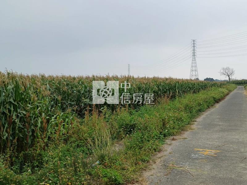 新營386坪大面寬美農地房屋室內格局與周邊環境