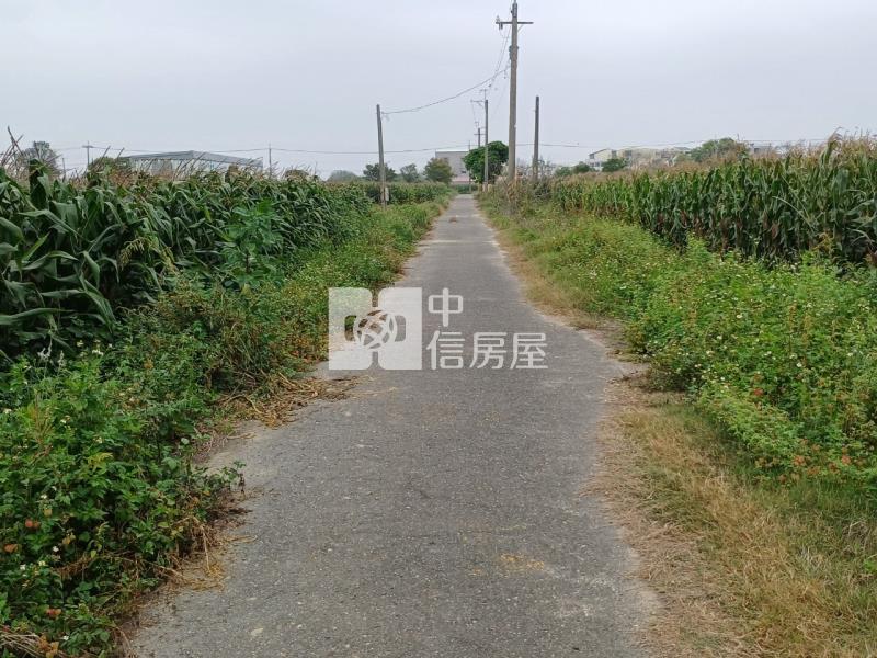 新營386坪大面寬美農地房屋室內格局與周邊環境