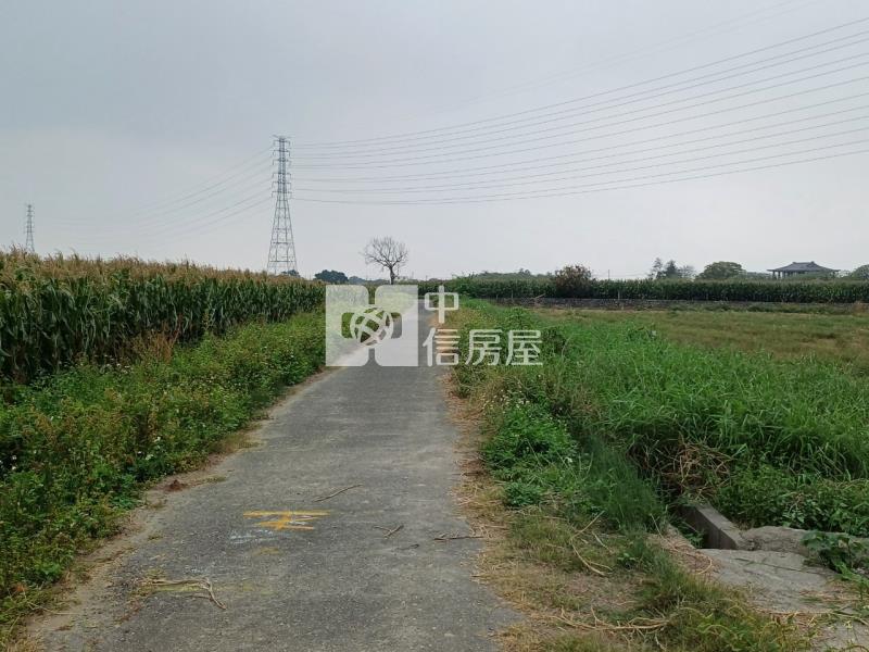 新營386坪大面寬美農地房屋室內格局與周邊環境