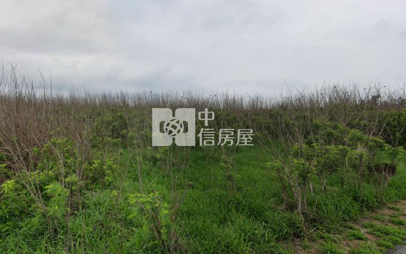 澎湖白沙區岐頭農地房屋室內格局與周邊環境