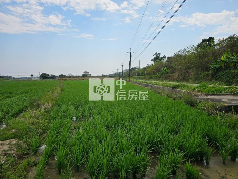 善化茄拔低總價有水有電1.1分休閒農地房屋室內格局與周邊環境