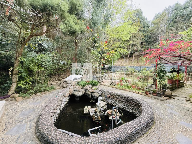 寶山綠色山莊清幽農舍房屋室內格局與周邊環境