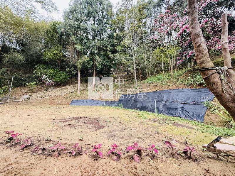 寶山綠色山莊清幽農舍房屋室內格局與周邊環境