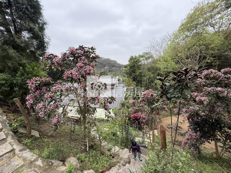 寶山綠色山莊清幽農舍房屋室內格局與周邊環境