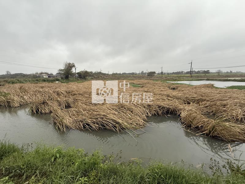 正台61三面臨路一般農房屋室內格局與周邊環境