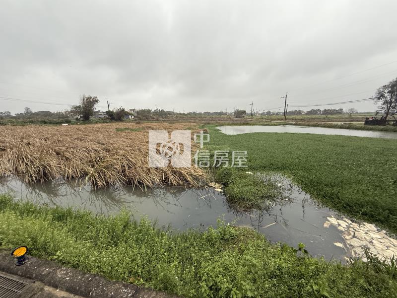 正台61三面臨路一般農房屋室內格局與周邊環境