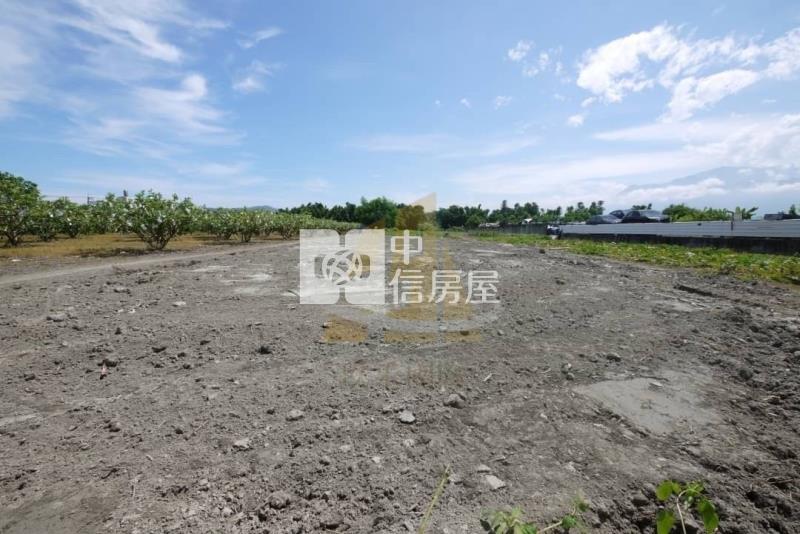 【玖禾】花蓮臨海景觀農舍 買農地送建物房屋室內格局與周邊環境