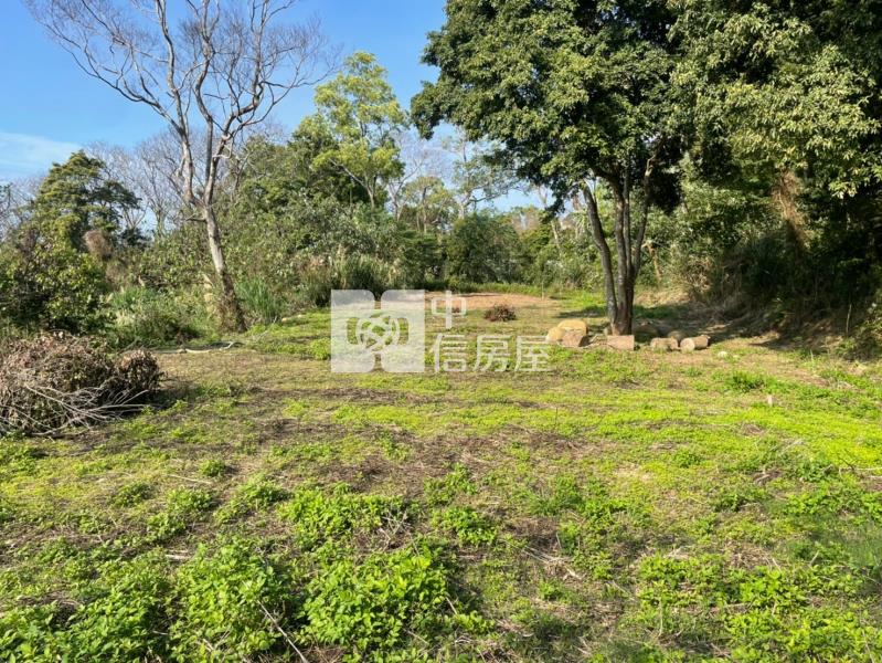 銅鑼臨5米路農+建房屋室內格局與周邊環境