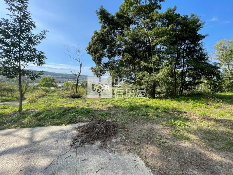 銅鑼臨5米路農+建房屋室內格局與周邊環境