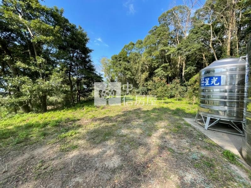 銅鑼臨5米路農+建房屋室內格局與周邊環境
