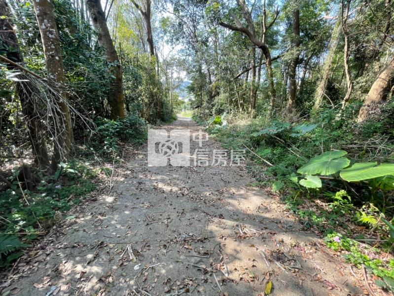 銅鑼臨5米路農+建房屋室內格局與周邊環境