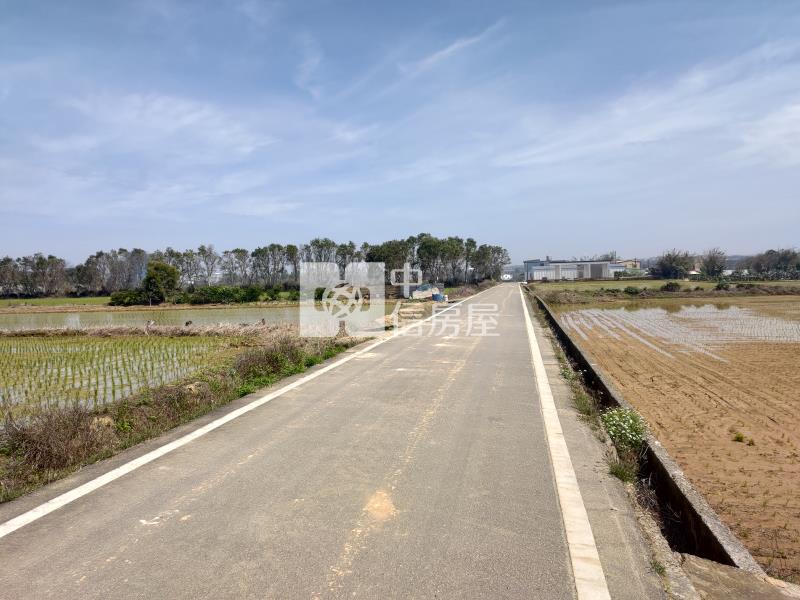 新屋農改場旁農業設施溫室房屋室內格局與周邊環境