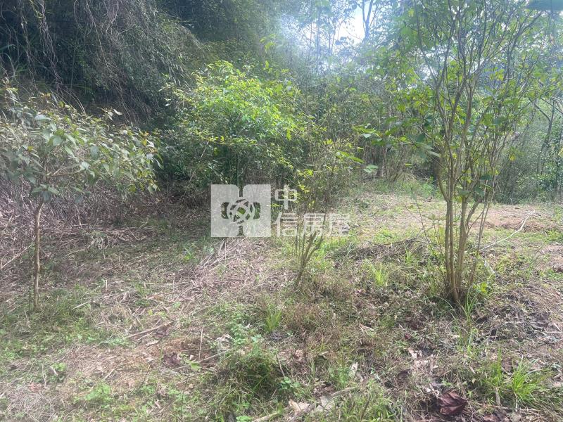 ●苗栗銅鑼農牧地房屋室內格局與周邊環境