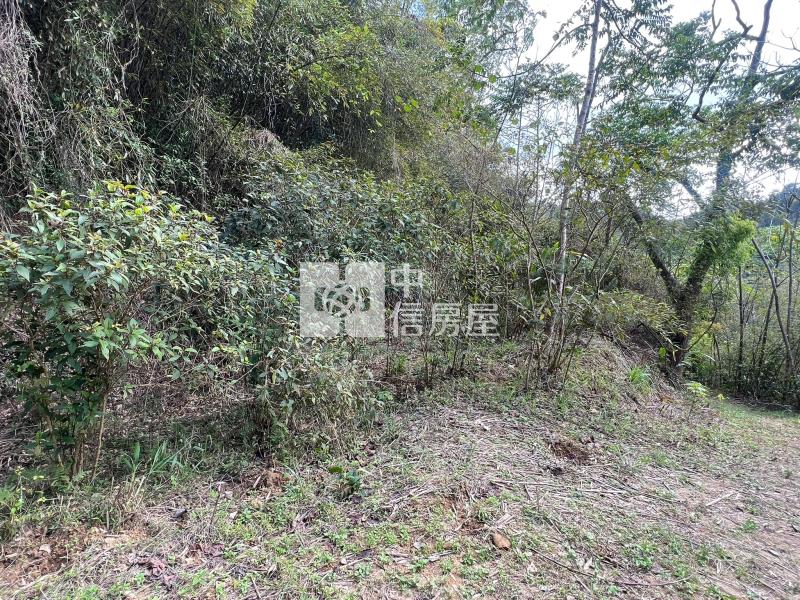 ●苗栗銅鑼農牧地房屋室內格局與周邊環境