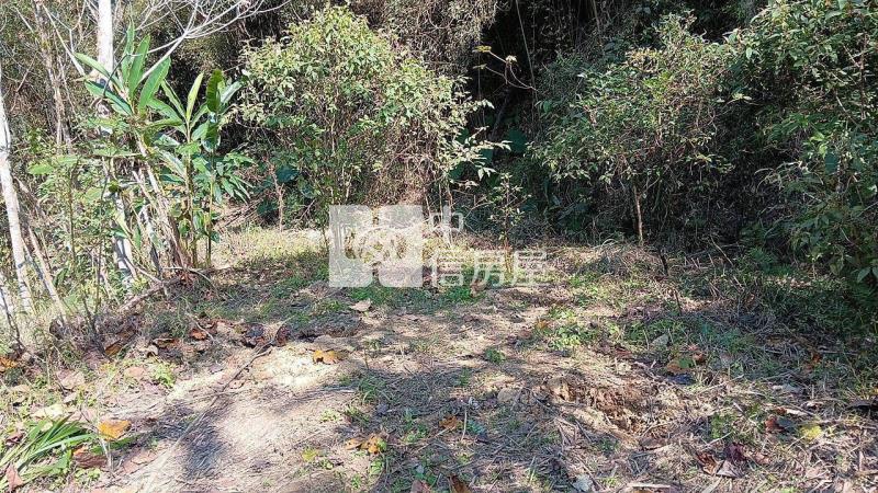 ●苗栗銅鑼農牧地房屋室內格局與周邊環境