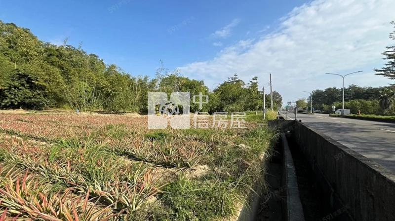 關廟下湖20米路旁農地房屋室內格局與周邊環境