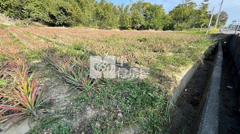 關廟下湖20米路旁農地房屋室內格局與周邊環境