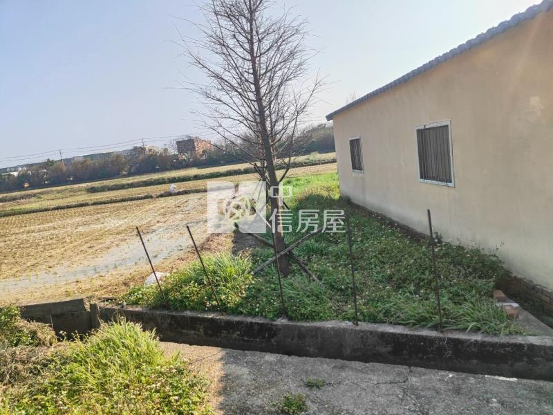 新屋農會旁大地坪農舍房屋室內格局與周邊環境