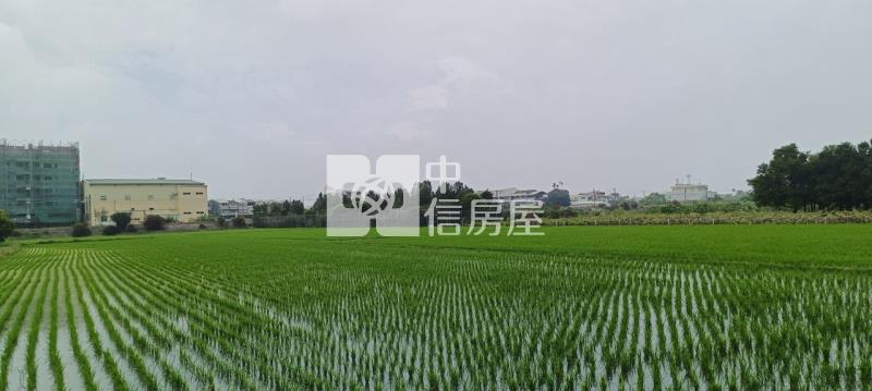 田中東閔路旁車庫別墅房屋室內格局與周邊環境