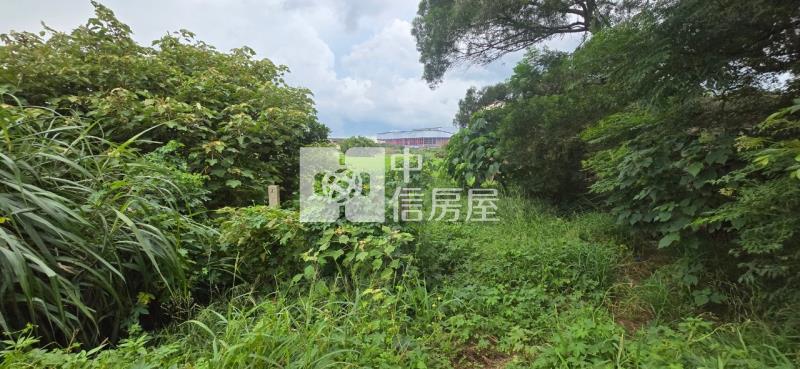 近新坡市區優質美農地房屋室內格局與周邊環境