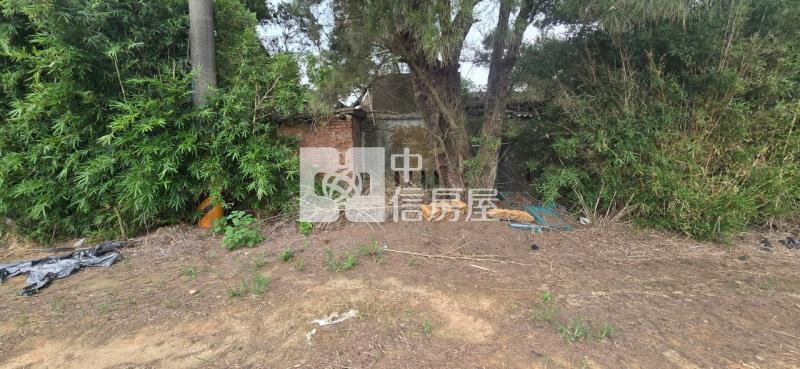 近新坡市區優質美農地房屋室內格局與周邊環境