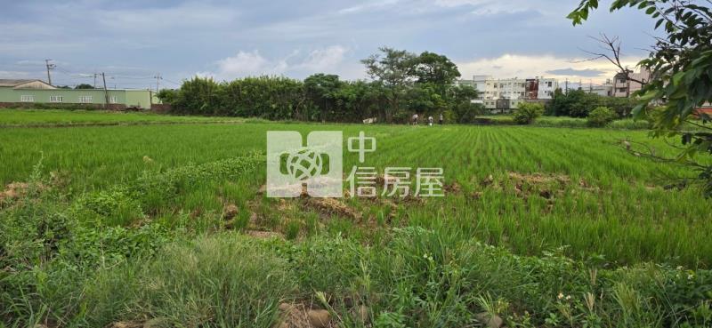 近新坡市區優質美農地房屋室內格局與周邊環境