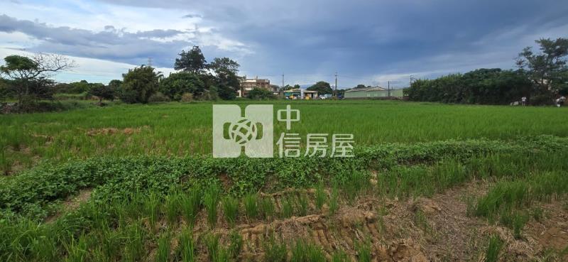 近新坡市區優質美農地房屋室內格局與周邊環境