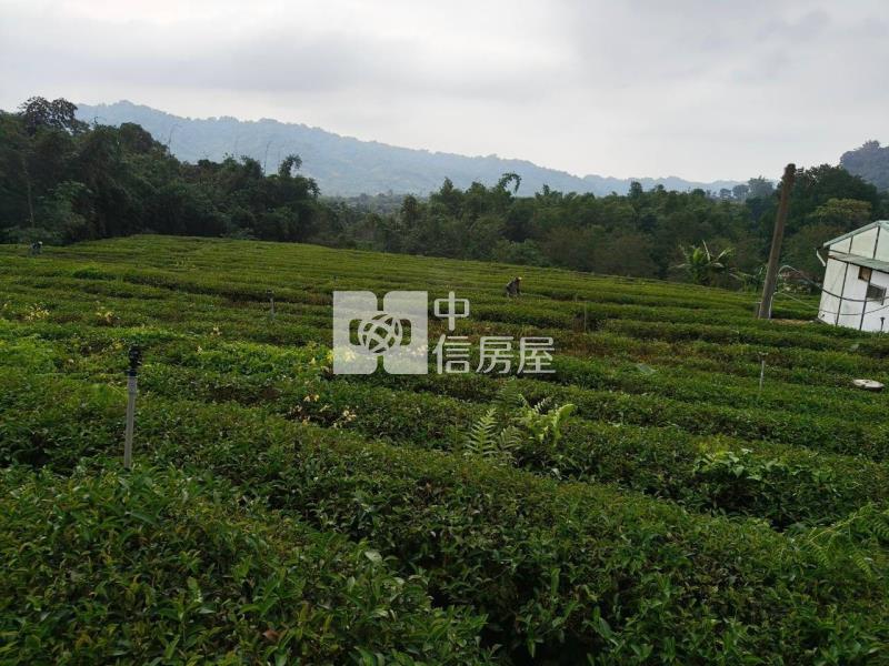 南投瑞竹國中山坡地房屋室內格局與周邊環境