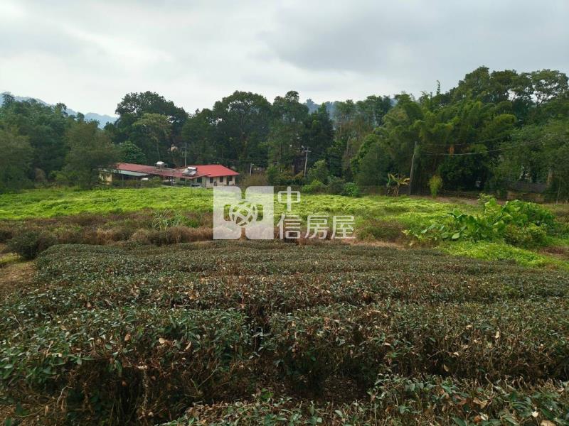 南投瑞竹國中山坡地房屋室內格局與周邊環境