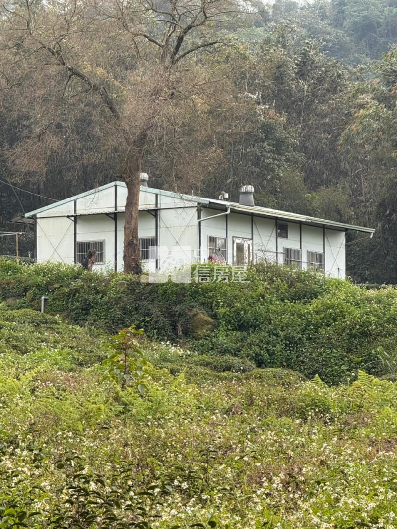 南投瑞竹國中山坡地房屋室內格局與周邊環境
