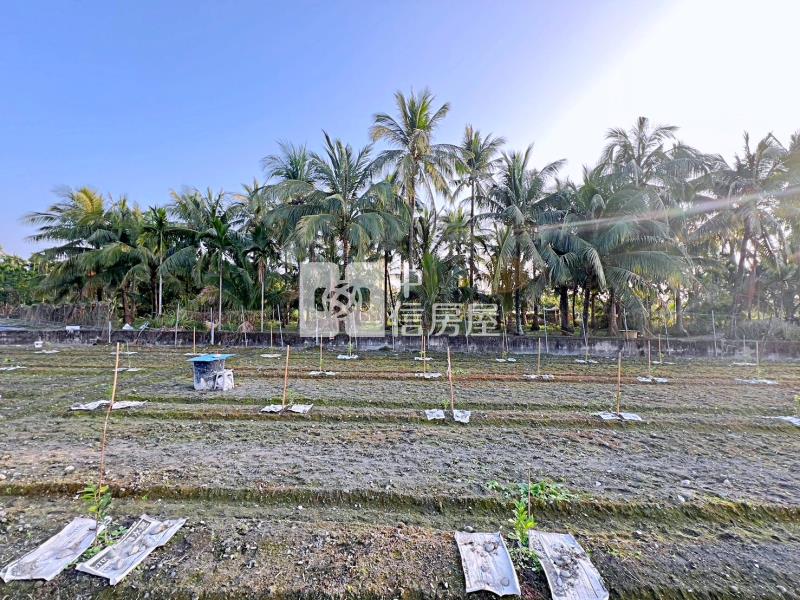 屏東土地 長治多用途用地房屋室內格局與周邊環境
