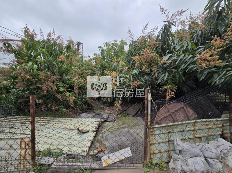 岡山有水有電優質農地房屋室內格局與周邊環境