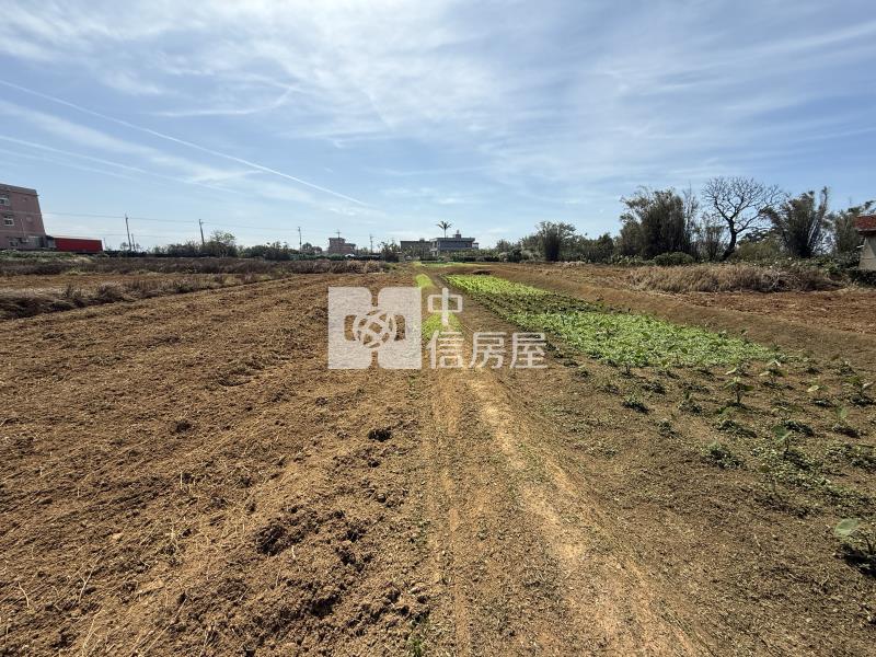 蚵間低總價一般農房屋室內格局與周邊環境