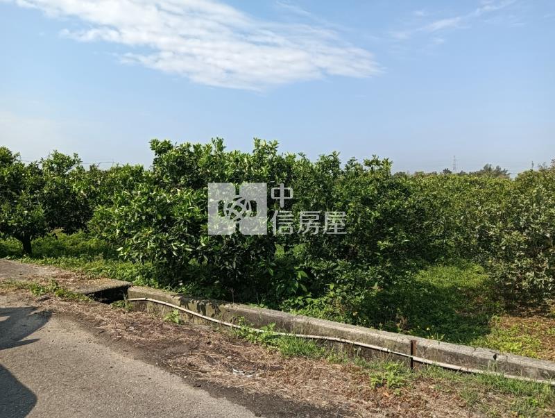 柴裡農保農地房屋室內格局與周邊環境