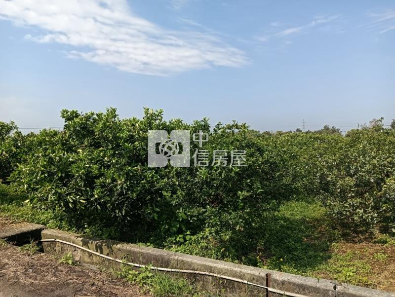 柴裡農保農地房屋室內格局與周邊環境