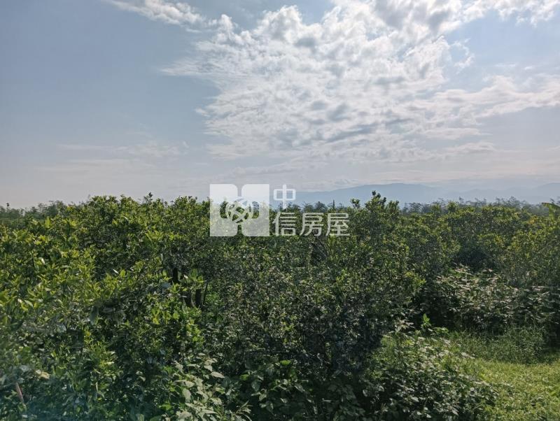 柴裡農地2房屋室內格局與周邊環境