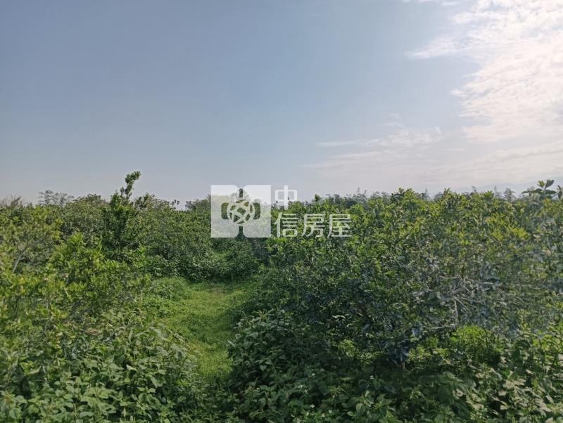 柴裡農地2房屋室內格局與周邊環境
