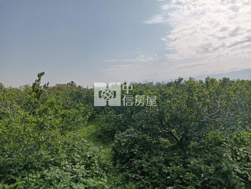 柴裡農地2房屋室內格局與周邊環境