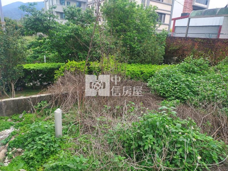 虎山甲建房屋室內格局與周邊環境