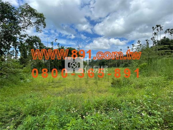 社口林場旁寧靜丙建-891嘉義房地產房屋室內格局與周邊環境
