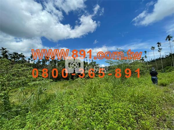 社口林場旁寧靜丙建-891嘉義房地產房屋室內格局與周邊環境