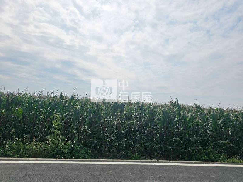 下營大屯寮3.3分特美農地房屋室內格局與周邊環境