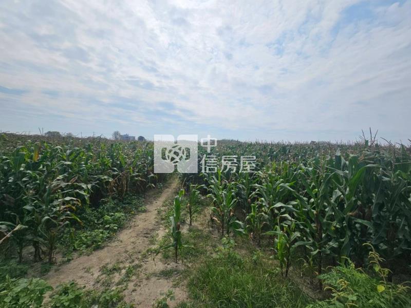 下營大屯寮3.3分特美農地房屋室內格局與周邊環境