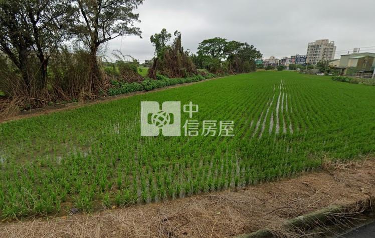 新坡都內農地房屋室內格局與周邊環境