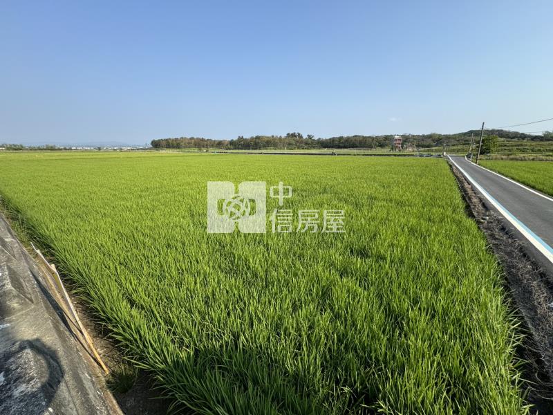 隆田車站旁都內農地房屋室內格局與周邊環境