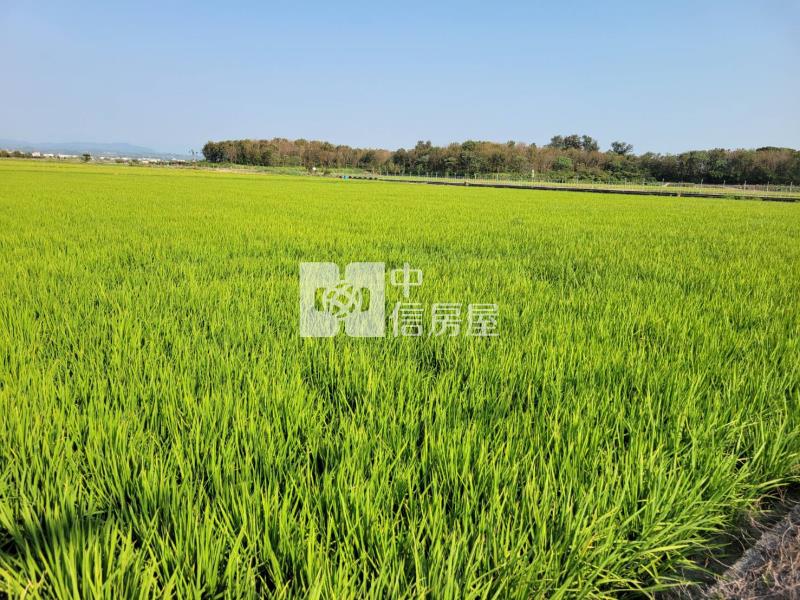隆田車站旁都內農地房屋室內格局與周邊環境
