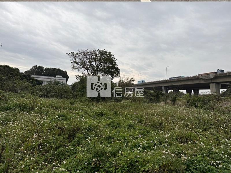 大園航空城12米路都內農房屋室內格局與周邊環境
