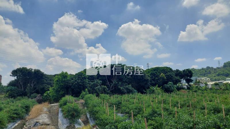 霧峰亞大農地房屋室內格局與周邊環境