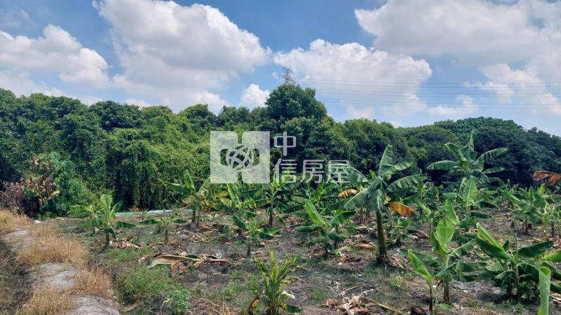 霧峰亞大農地房屋室內格局與周邊環境